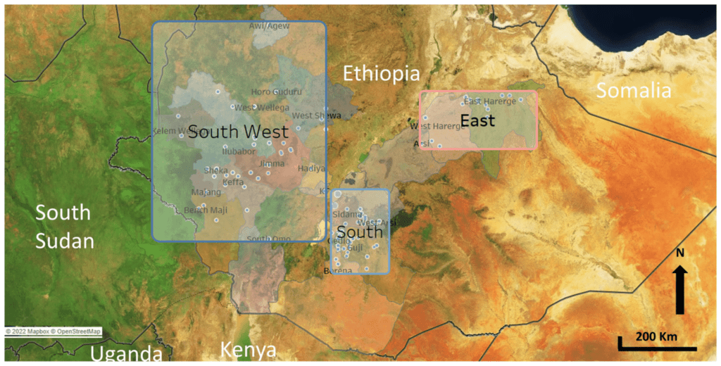 Ethiopian and Sudanese Coffees
