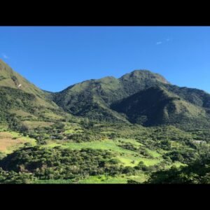 Learn about the delightful Ecuador Hacienda Pillcocaja Typica Natural coffee. Savor the distinct flavors and aromas of this exceptional blend.